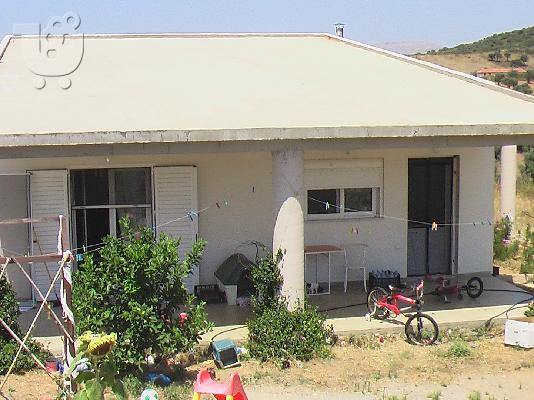 15 στρεμματα